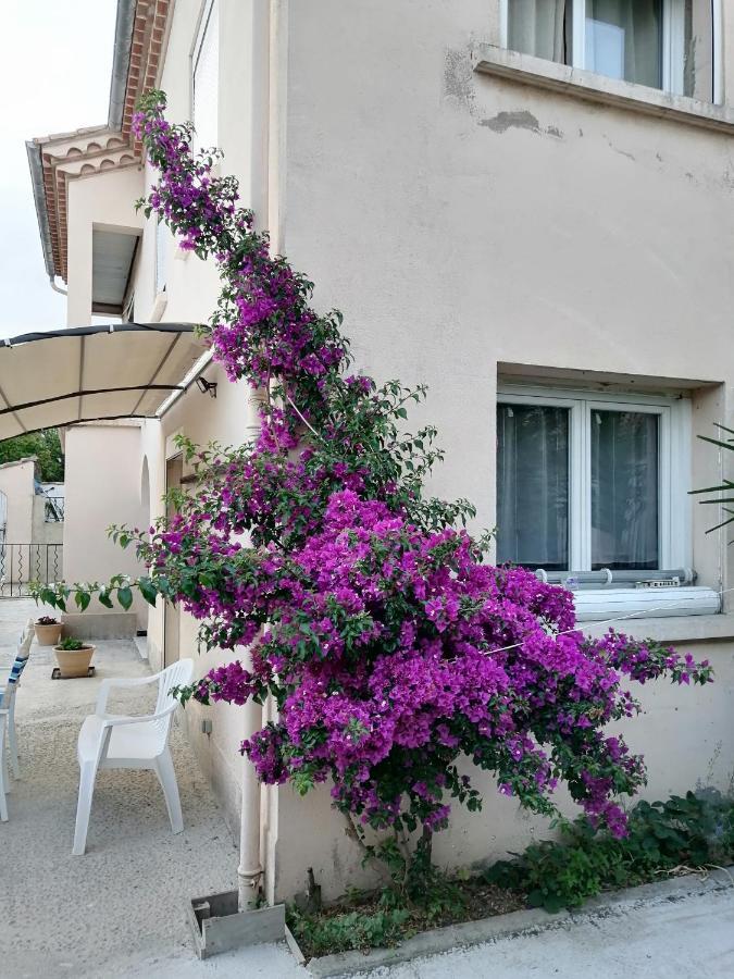 La Maison De 6Fran Appartement 2 Chaleureux Et Calme Ambiance Familiale Valros Exterior foto
