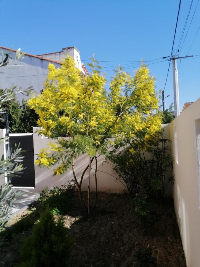 La Maison De 6Fran Appartement 2 Chaleureux Et Calme Ambiance Familiale Valros Exterior foto
